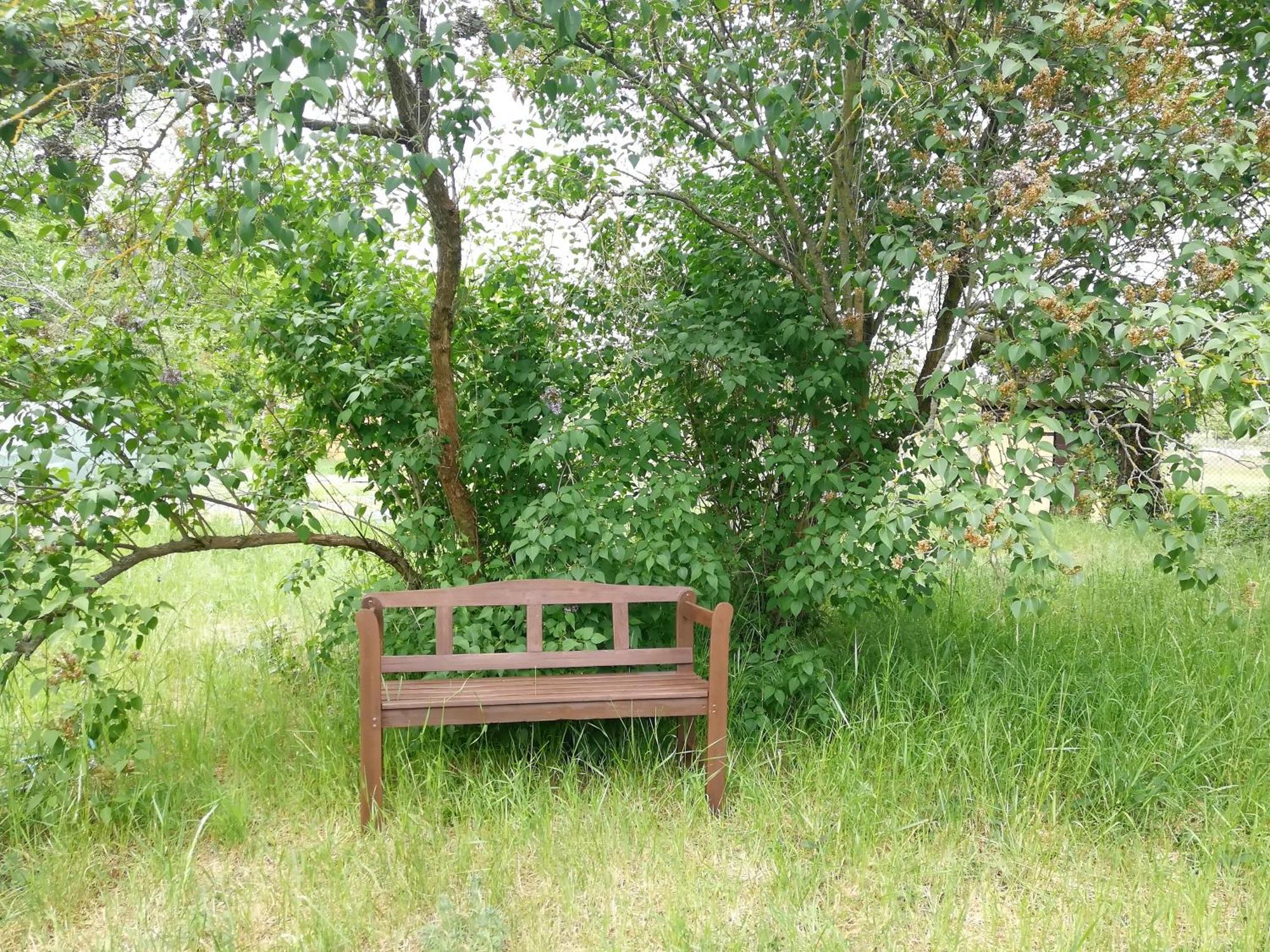 Kleine Galerie Apartment Fuer 3 Mit Kueche Kamin Netflix Parken Und Hofladen Steinhofel Eksteriør billede